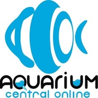 Aquarium  Central Online