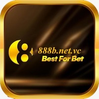 888B netvc