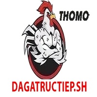 ĐÁ GÀ TRỰC TIẾP SH