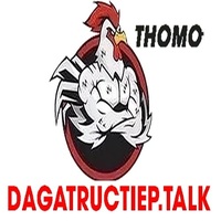ĐÁ GÀ TRỰC TIẾP TALK