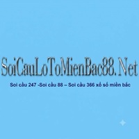Soi cầu  247