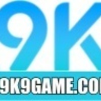 K9K9 