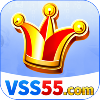 vss55 vss55