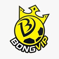 Nhà Cái  Bongvip